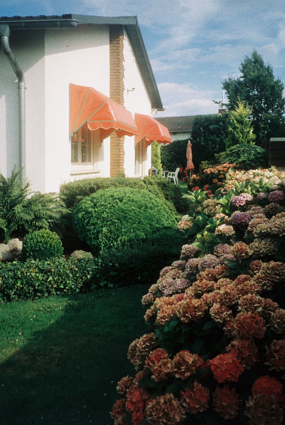 Beautiful Tranquil Garden With Lush Hydrangeas and A Cozy White Home