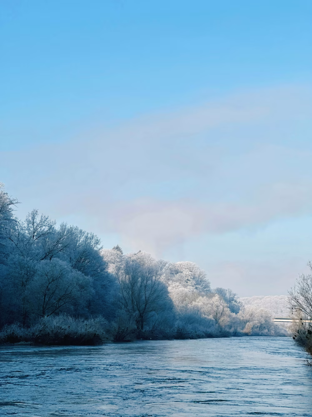 Calm Winter River Reflecting Trees Under a Clear Blue Sky