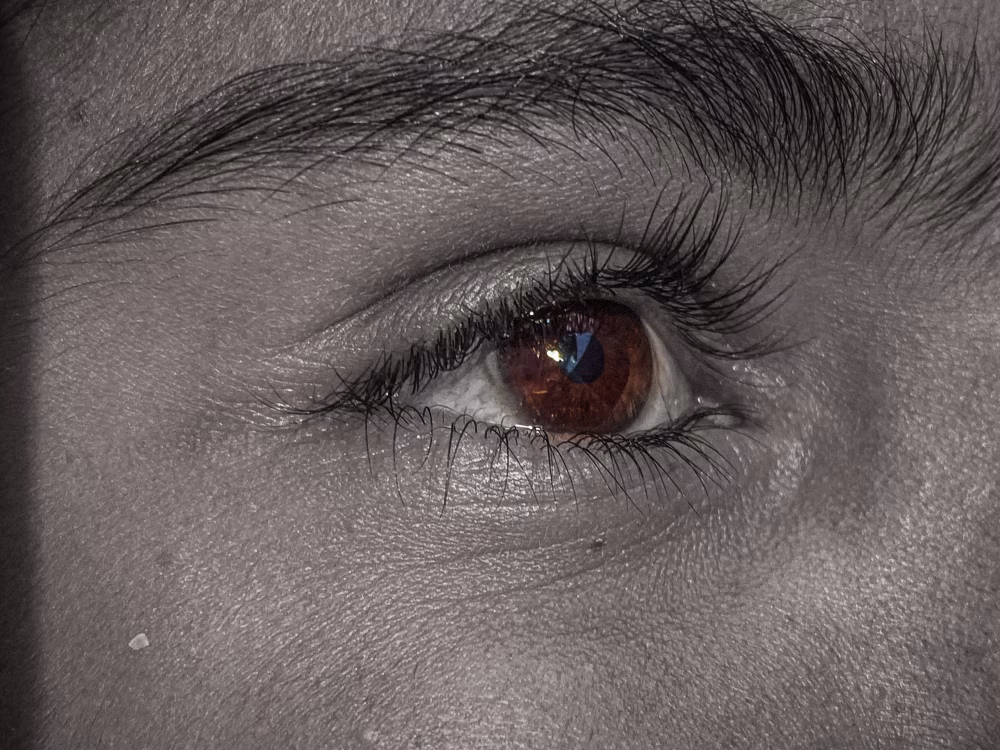 Close-Up Of A Brown Eye With Detailed Eyelashes And Skin Texture For Stock Photography