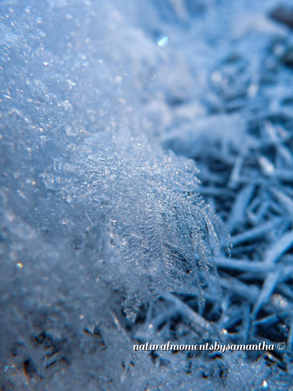Close-Up of Frost Crystals Forming on a Frozen Surface in Winter