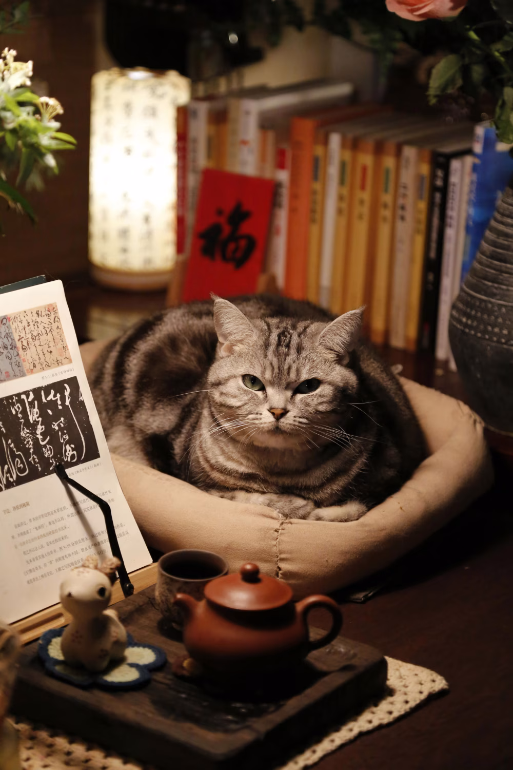 Cozy Scene with Cat, Books, and Traditional Tea-Set Indoors
