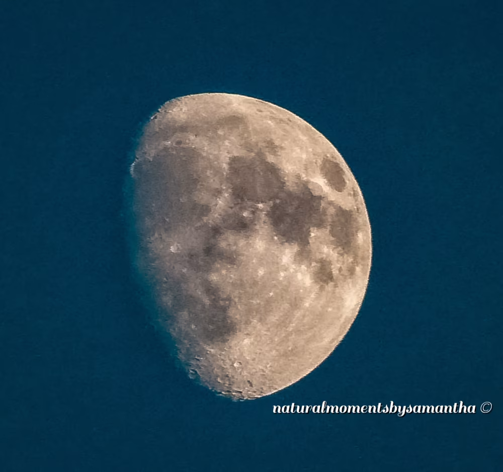 Half Moon Illuminated Against a Dark Night Sky