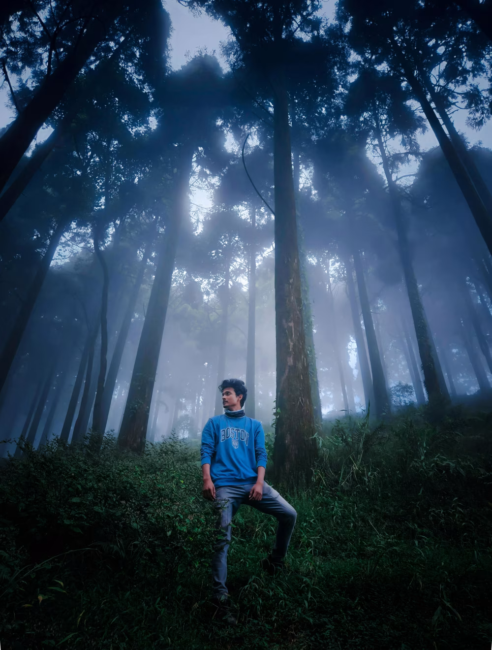 Person Exploring a Lush Misty Forest Among Tall Trees