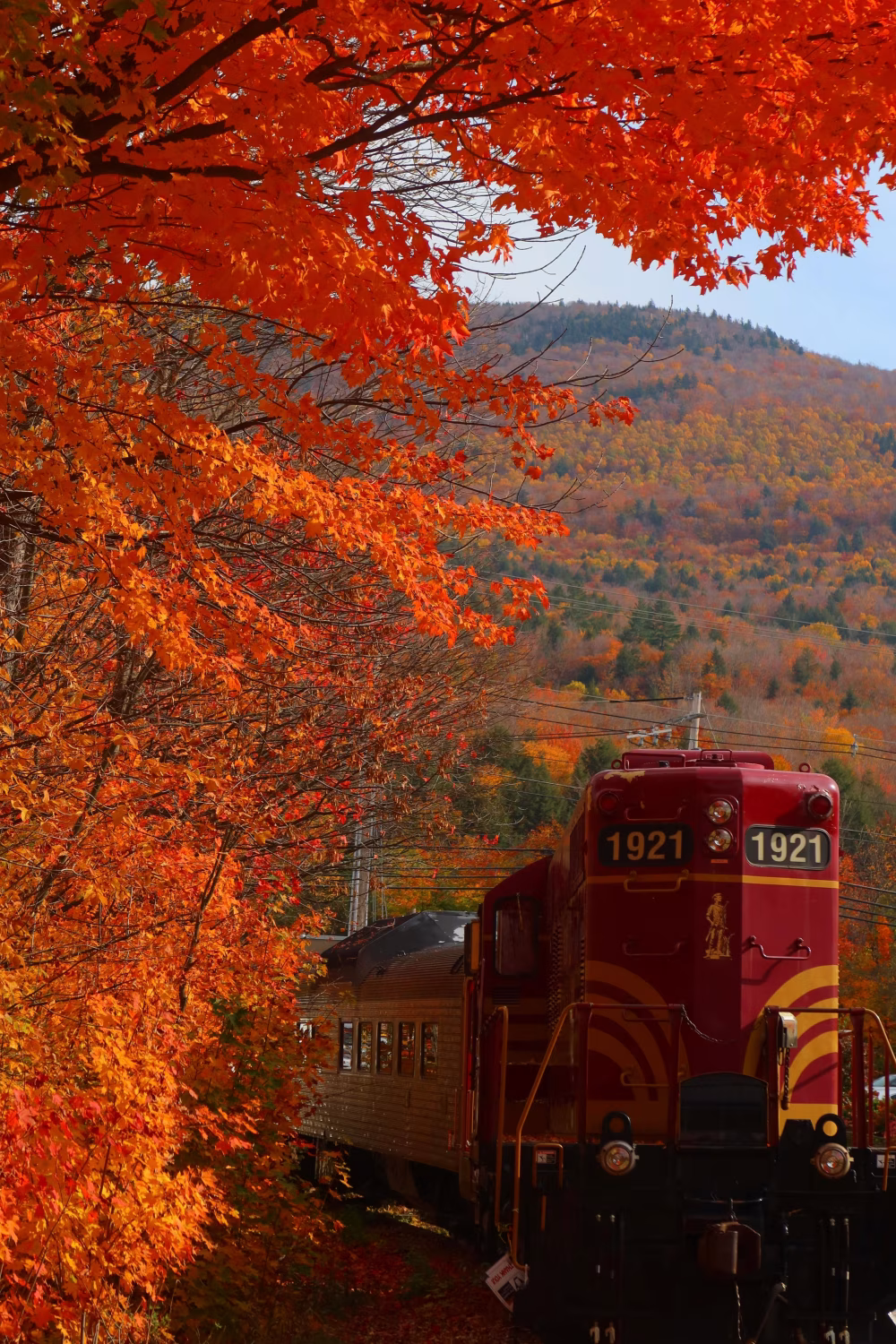 Red Train Passing Through Autumn Landscape with Vibrant Fall Foliage