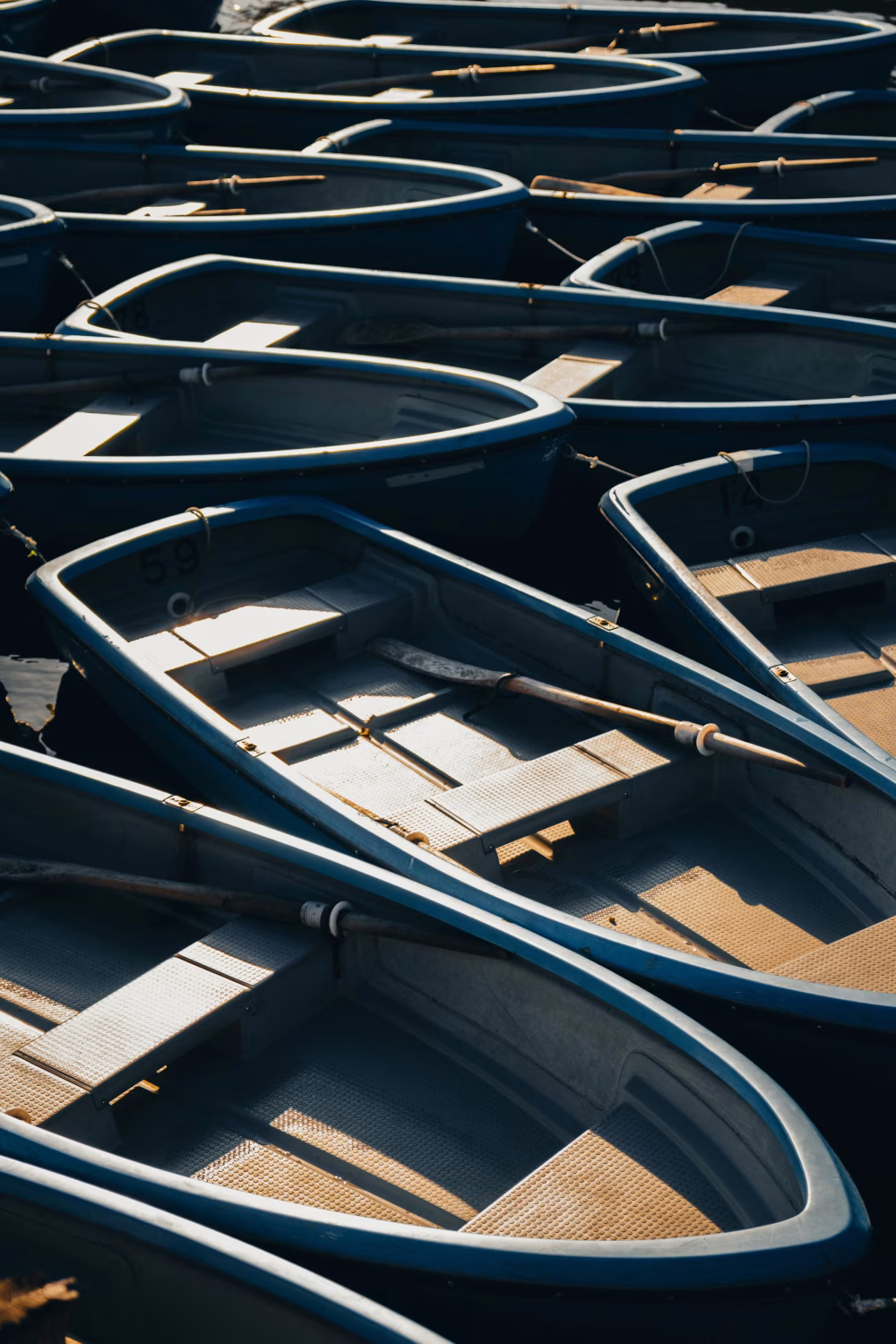 Rowboats Arranged in a Harbor Reflecting Gentle Morning Light