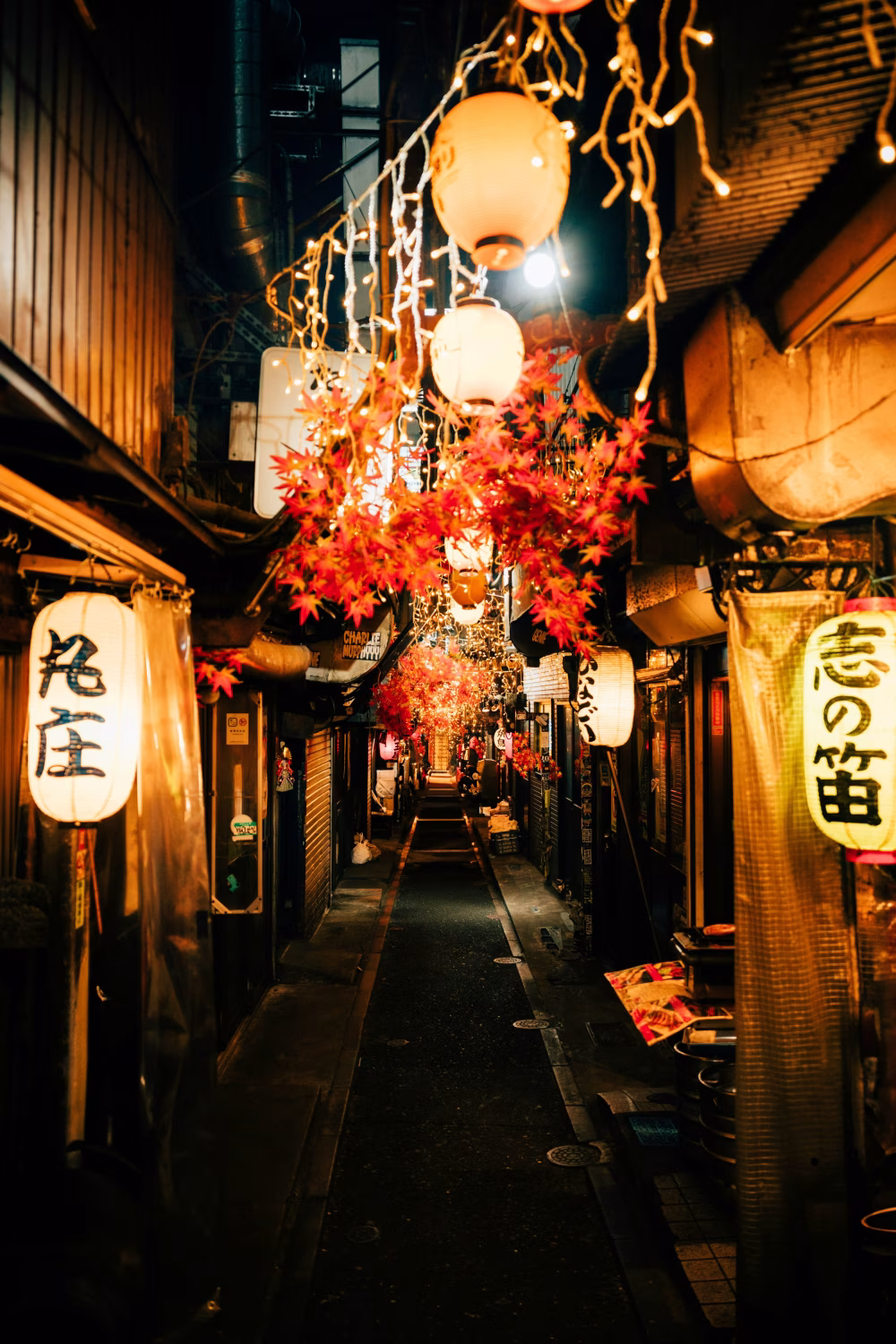 Scenic Alley at Night Illuminated by Hanging Lanterns and Festive Decorations