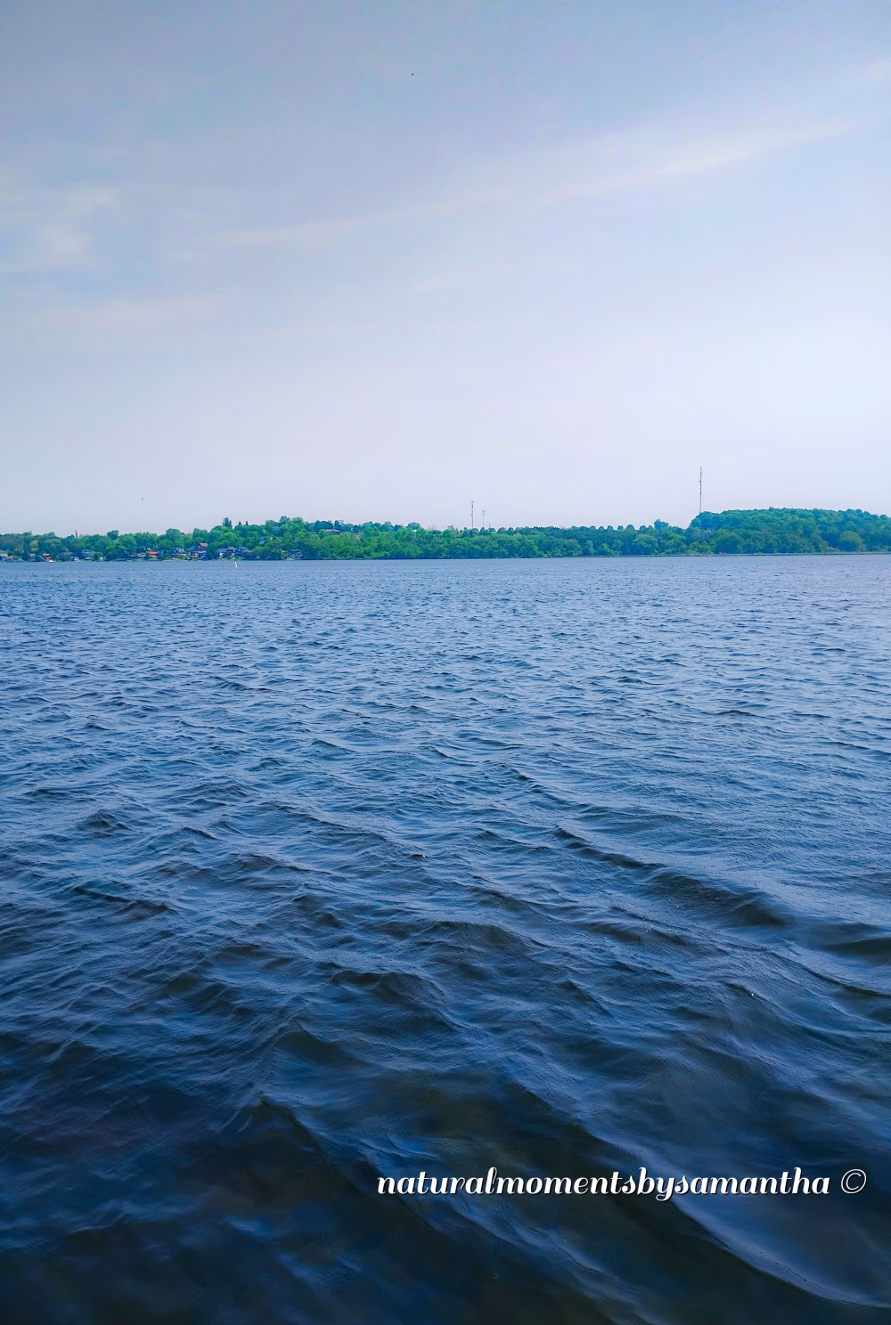Scenic View of a Calm Lake With Forested Horizon Under Clear Sky