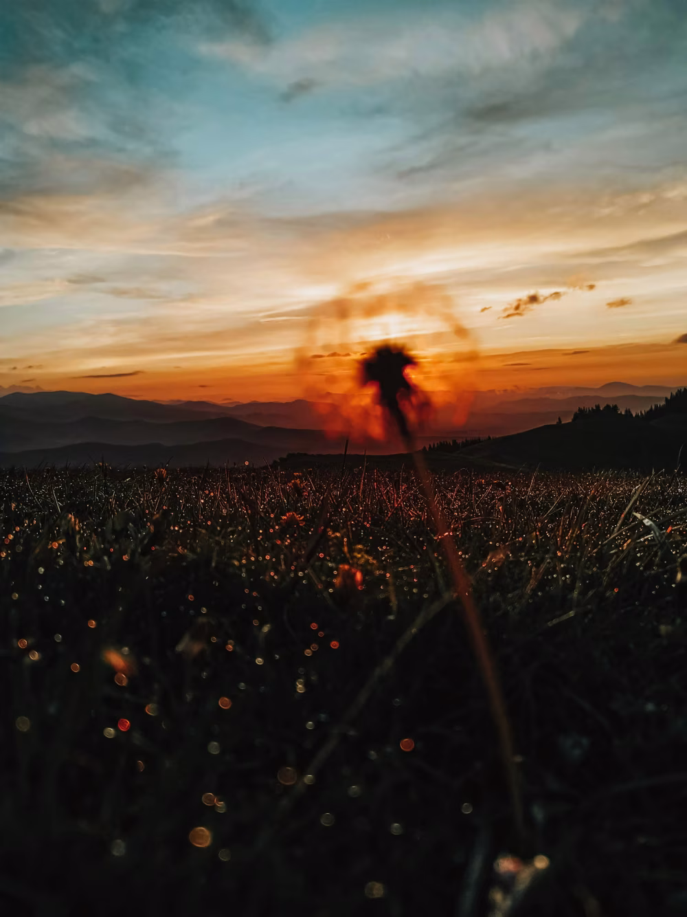 Silhouette At Sunset Over Rolling Hills: Dewy Grass, Warm Horizon, and Quiet Nature Scene