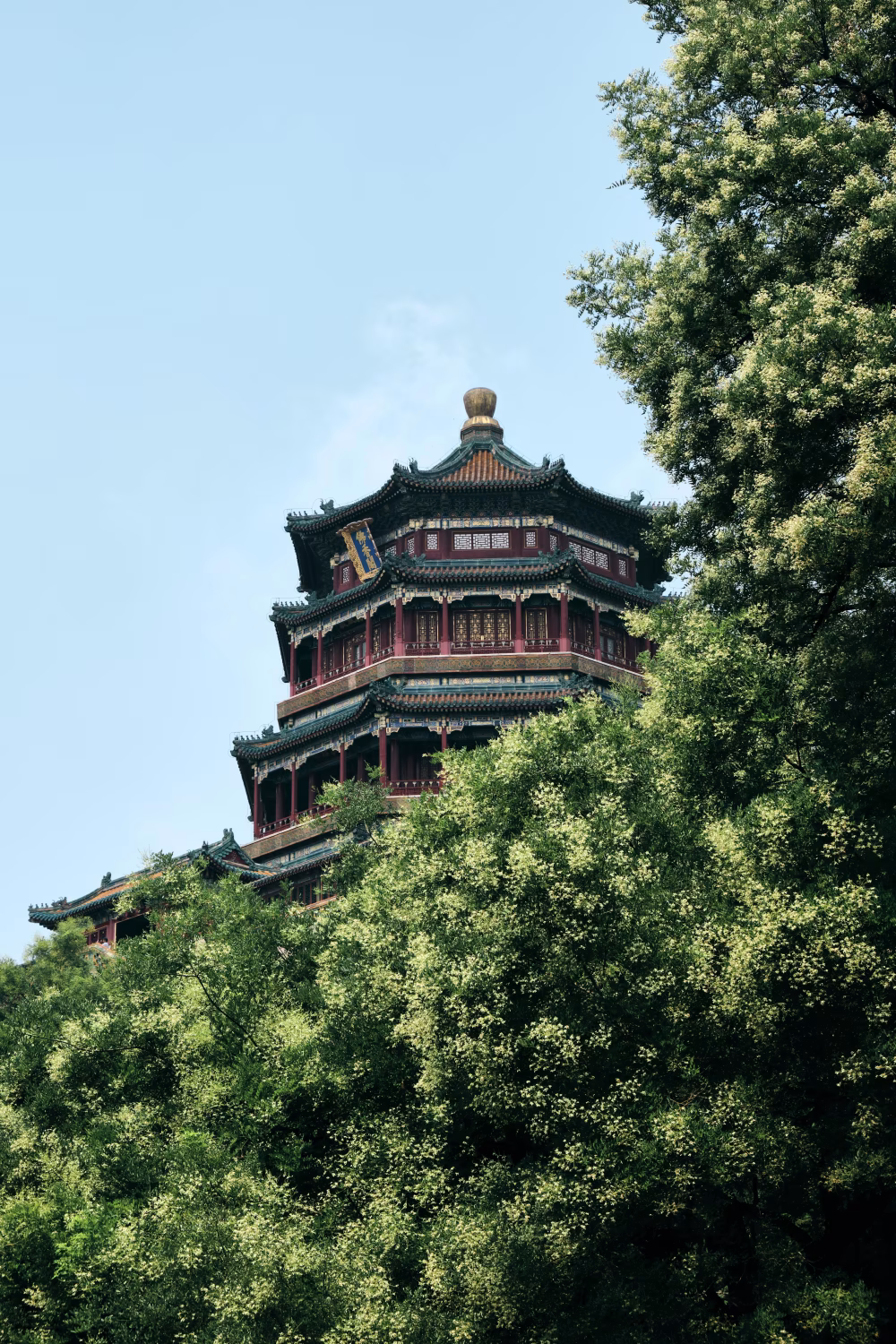 Traditional Chinese Pagoda Surrounded by Lush Green Foliage