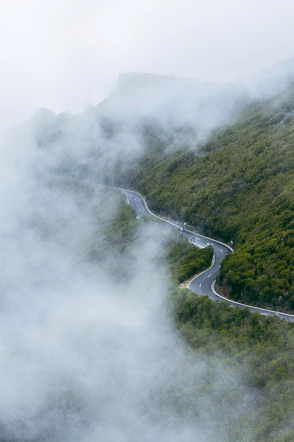 Winding Road Passing Through Verdant Hillside Covered by Mist in Serene Landscape