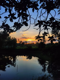 Beautiful Sunset Over a Tranquil Lake Surrounded by Lush Green Landscape