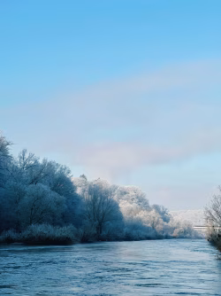 Calm Winter River Reflecting Trees Under a Clear Blue Sky
