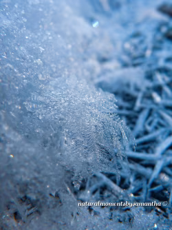 Close-Up of Frost Crystals Forming on a Frozen Surface in Winter