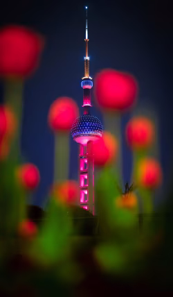 Colorful Night View of Modern Tower with Blurred Flowers in Foreground