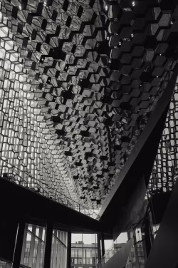Interior View of Modern Building Featuring Geometric Ceiling Architecture