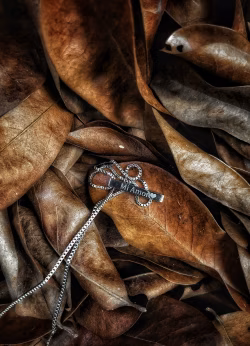 Jewelry in nature