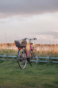 Red Bicycle with Basket Parked on Green Grass Under Cloudy Sky