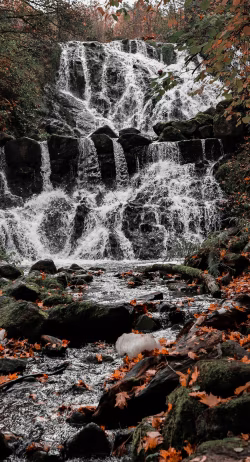Scenic Autumn Waterfall Over Rocks Surrounded by Colorful Foliage