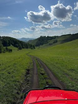 Scenic Countryside Pathway Through Lush Green Hills Under Vibrant Blue Sky