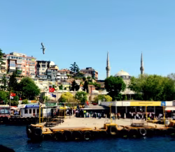 Seaside Townscape with Mosque, Seagull, Turkish Flags, and Blue Sky