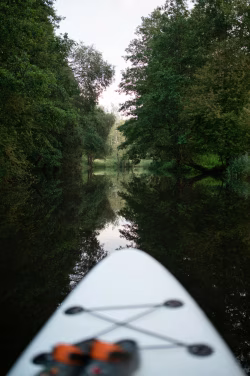 Serene River Scene with Paddleboard and Green Surrounding Trees