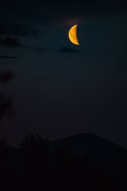 Silhouette of Trees and Hills Under a Golden Crescent Moon