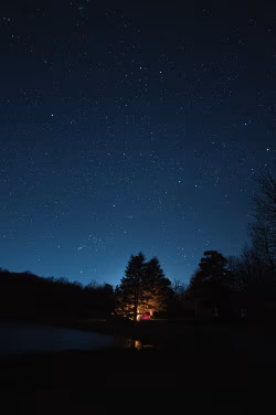 Starry Night Sky Above a Campfire Illuminated Forest and Tent