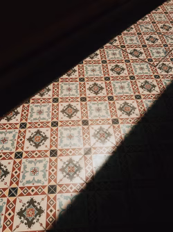 Sunlit Texture
