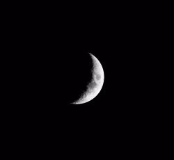Waxing Crescent Moon Against a Dark Night Sky