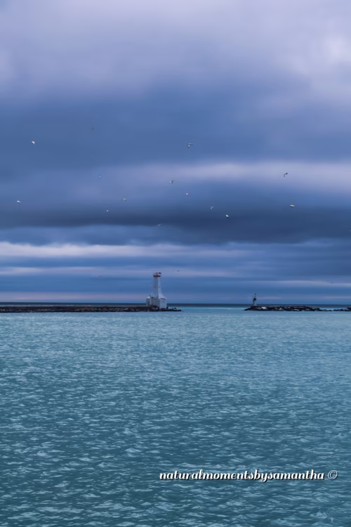 Beauty Before The Storm
