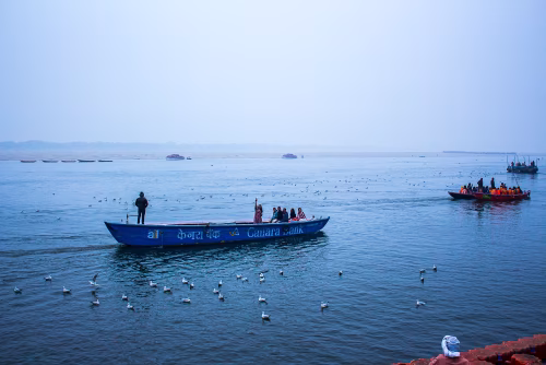 Boats with People on a Tranquil River Surrounded by Seagulls at Dusk