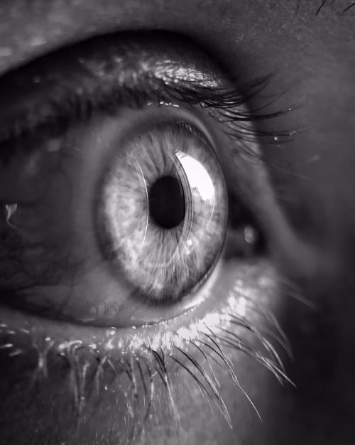 Close-Up Black and White Photograph of a Human Eye