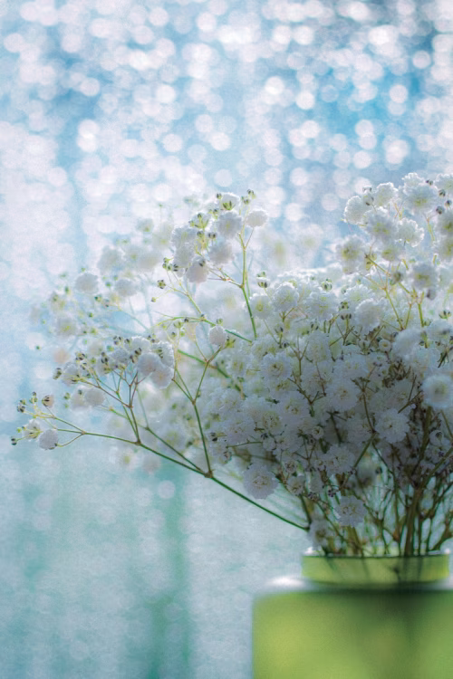 Elegant Arrangement of Baby's Breath Flowers in a Green Vase
