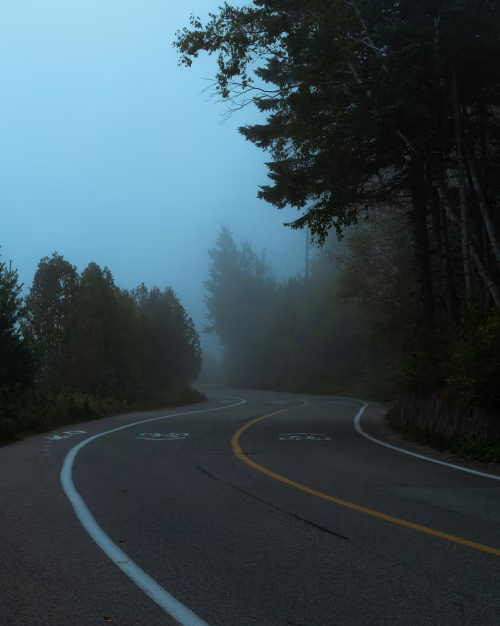 Foggy Winding Road Through Forested Landscape in Early Morning Light