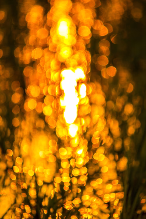 Golden Bokeh Lights Create Warm Abstract Glow in Night Scene for Creative Mood