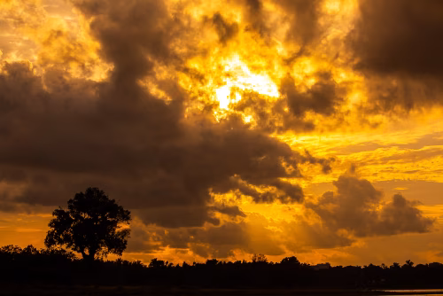 Golden Sunset Over Quiet Horizon With Silhouetted Tree and Dramatic Clouds at Dusk