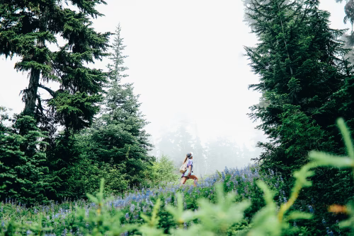 Hiker Exploring a Scenic Forest Trail with Lush Greenery and Wildflowers