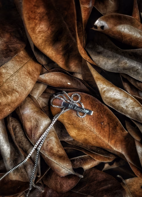 Jewelry in nature