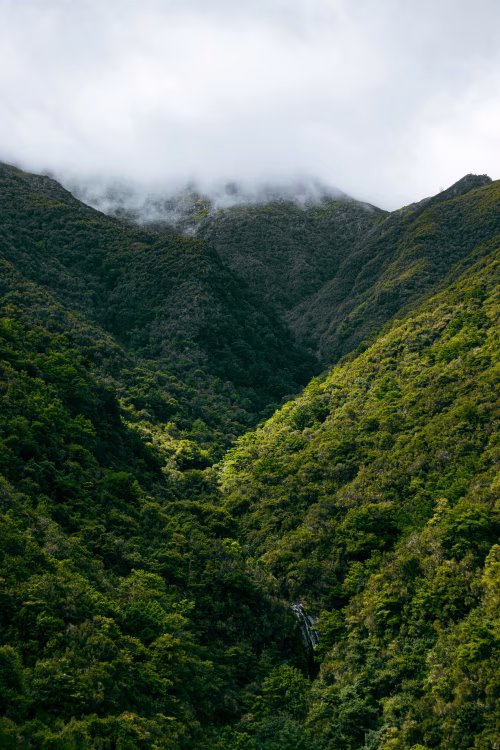 Lush Forest Valley with Waterfall and Misty Mountain Peaks