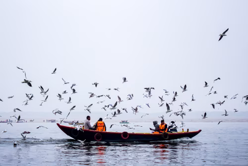 People on a Boat Surrounded by Birds Over a Calm Lake Surface