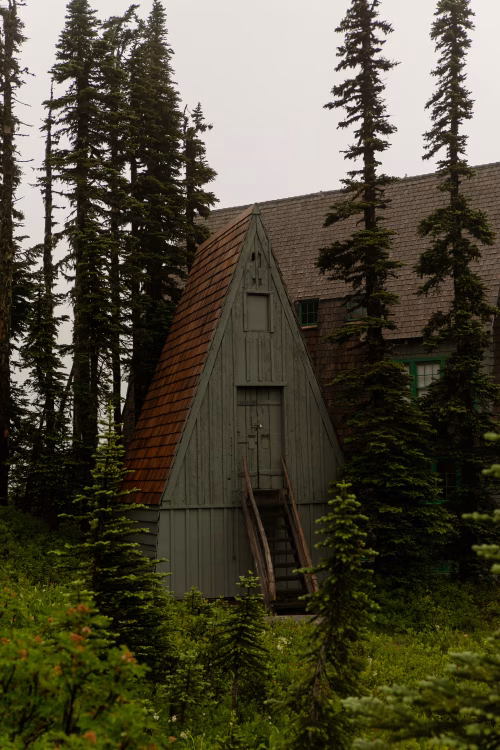 Rustic A-Frame Cabin in a Forest Setting Surrounded by Evergreen Trees