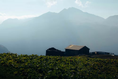 Rustic Cabin Amid Verdant Fields and Serene Mountain Scenery