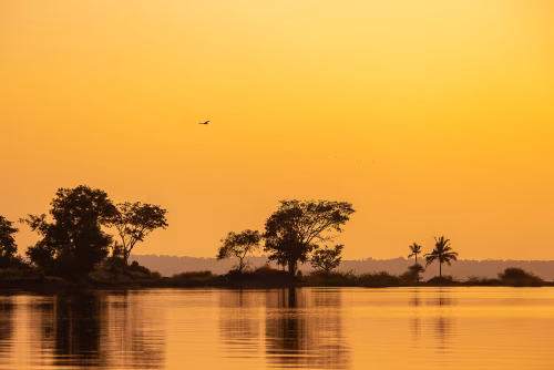 Serene Sunset Over Calm Lake with Silhouetted Trees and Golden Sky