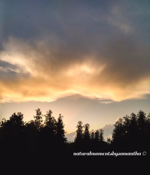 Serene Sunset Over Forest Trees with a Dramatic Cloudy Sky