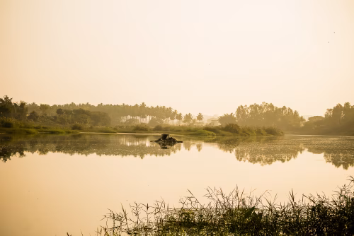 Sunset Over Calm River with Trees and Reflections in Golden Light