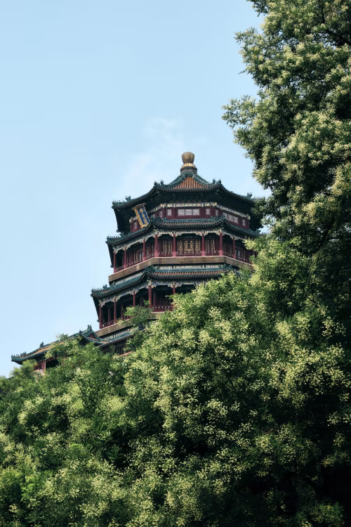 Traditional Chinese Pagoda Surrounded by Lush Green Foliage
