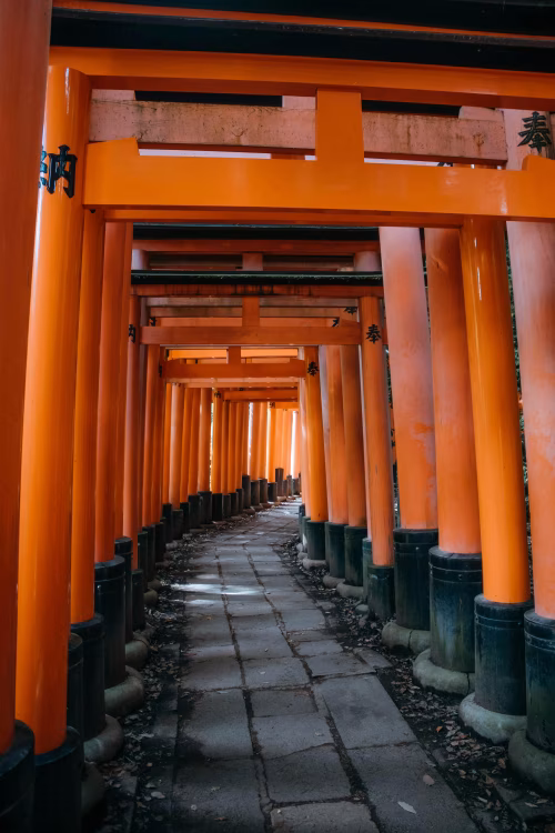 Traditional Japanese Torii Gate Pathway in a Serene Forest Setting