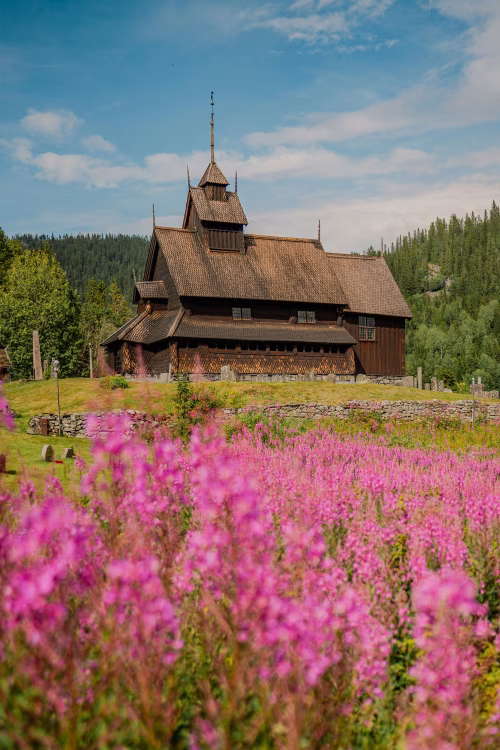 Traditional Wooden Church Surrounded by Lush Meadows and Vibrant Pink Wildflowers