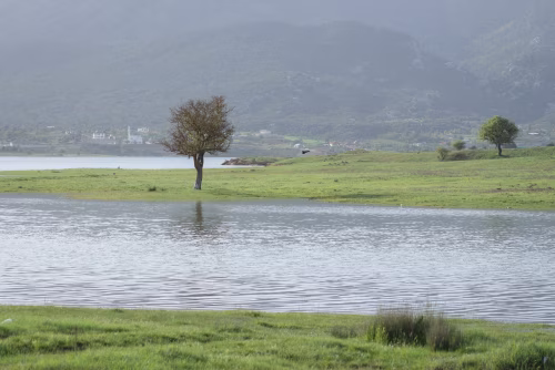 Tranquil Lakeside Landscape with Trees and Mountain View in the Background