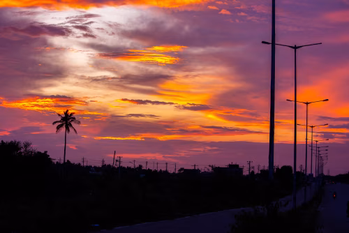 Vibrant Sunset Over Long Road With Streetlights And Palm Silhouette